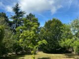 Maison à construire à Druye (37190) 2198415-10804annonce120250619p2TOC.jpeg Maisons Stéphanie