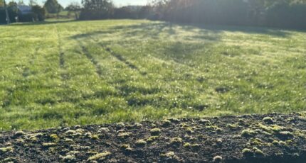 Semblançay Terrain à bâtir - 2291782-11654annonce120251002y5l3V.jpeg Maisons Stéphanie