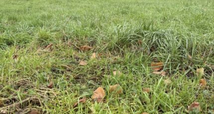 Fondettes Maison neuve - 2290647-11654annonce120251002TeyVA.jpeg Maisons Stéphanie