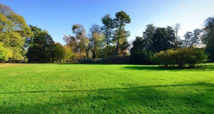 Neuil Maison neuve - 2331288-11681annonce220251107hWOhv.jpeg Maisons Stéphanie