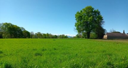 Sorigny Maison neuve - 2337267-11681annonce2202511138eSu4.jpeg Maisons Stéphanie