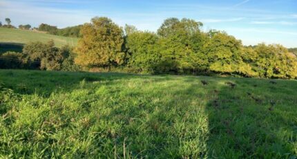 Azay-sur-Cher Maison neuve - 2330000-11681annonce120251106A771S.jpeg Maisons Stéphanie