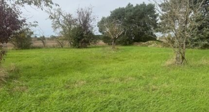 Mazières-de-Touraine Terrain à bâtir - 2298348-11654annonce120251008vFy5o.jpeg Maisons Stéphanie