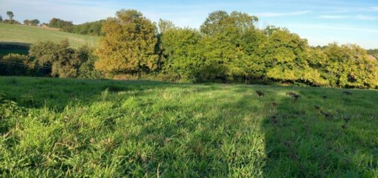 Terrain à bâtir à Neuillé-Pont-Pierre, Centre-Val de Loire