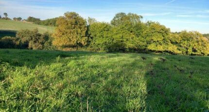 Sainte-Maure-de-Touraine Maison neuve - 2329163-annonceTerrain-20251110131050.JPEG Maisons Stéphanie