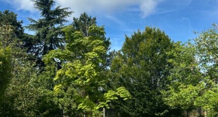 Ballan-Miré Maison neuve - 2450867-10804annonce120260309A5Qs4.jpeg Maisons Stéphanie